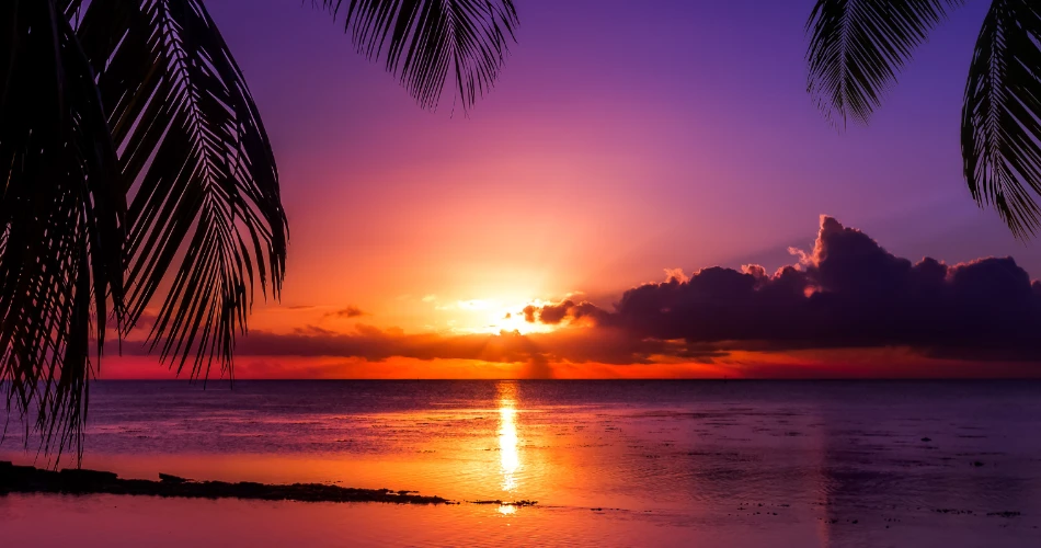 Secluded Beaches in Mumbai That Feel Untouched