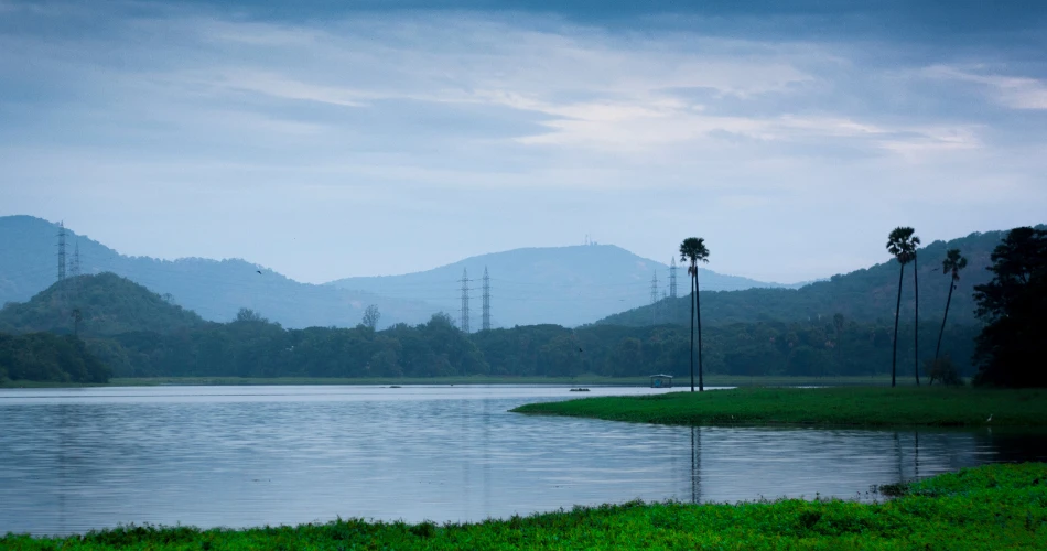 Lakes in Mumbai That Offer a Peaceful Escape