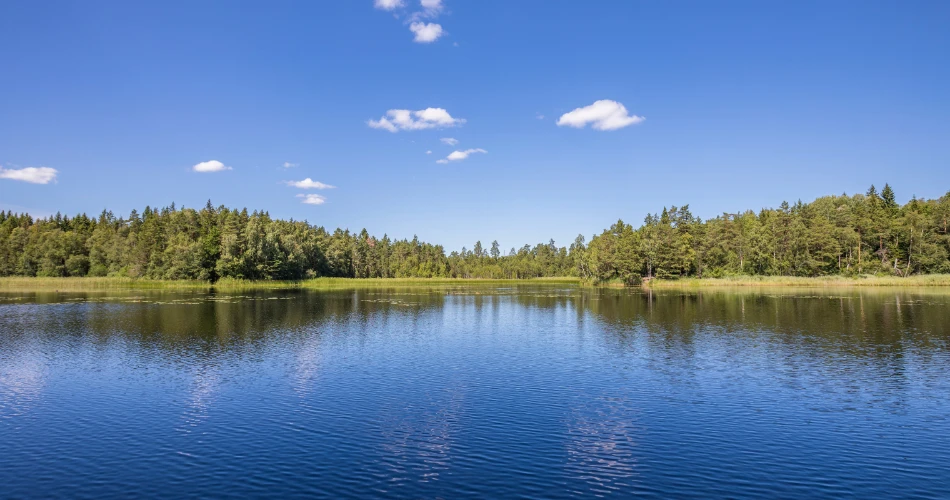Lakes in Mumbai That Offer a Peaceful Escape