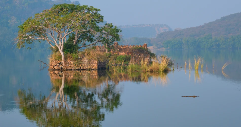 Lakes in Mumbai That Offer a Peaceful Escape